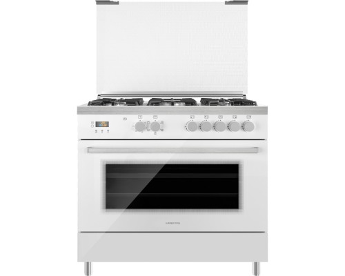 HIBERG FEG 950-25 MW
