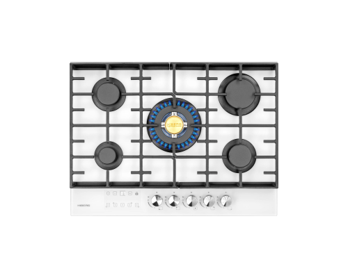 HIBERG VM 7255 W