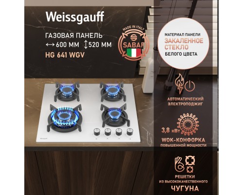 Weissgauff HG 641 WGV