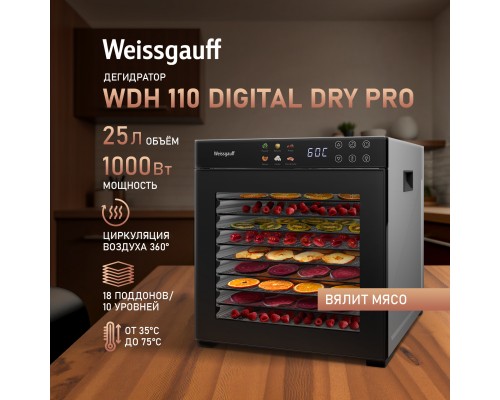 Weissgauff WDH 110 Digital Dry Pro