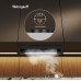 Weissgauff BOX 900 Remove Touch Black Glass