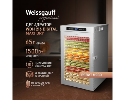 Weissgauff WDH 216 Digital Maxi Dry