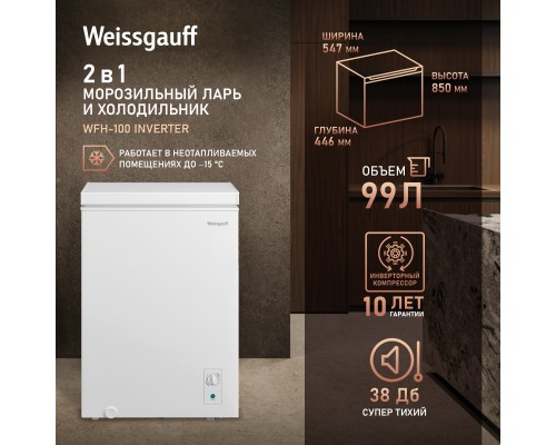 Weissgauff WFH-100 Inverter