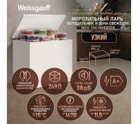 Weissgauff WFH-250 Inverter