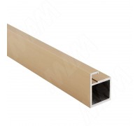 PULSE SECRET MAXI Профиль рамочный узкий, золото брашированное (анод), L-3000 (FP00263GLB-S3)